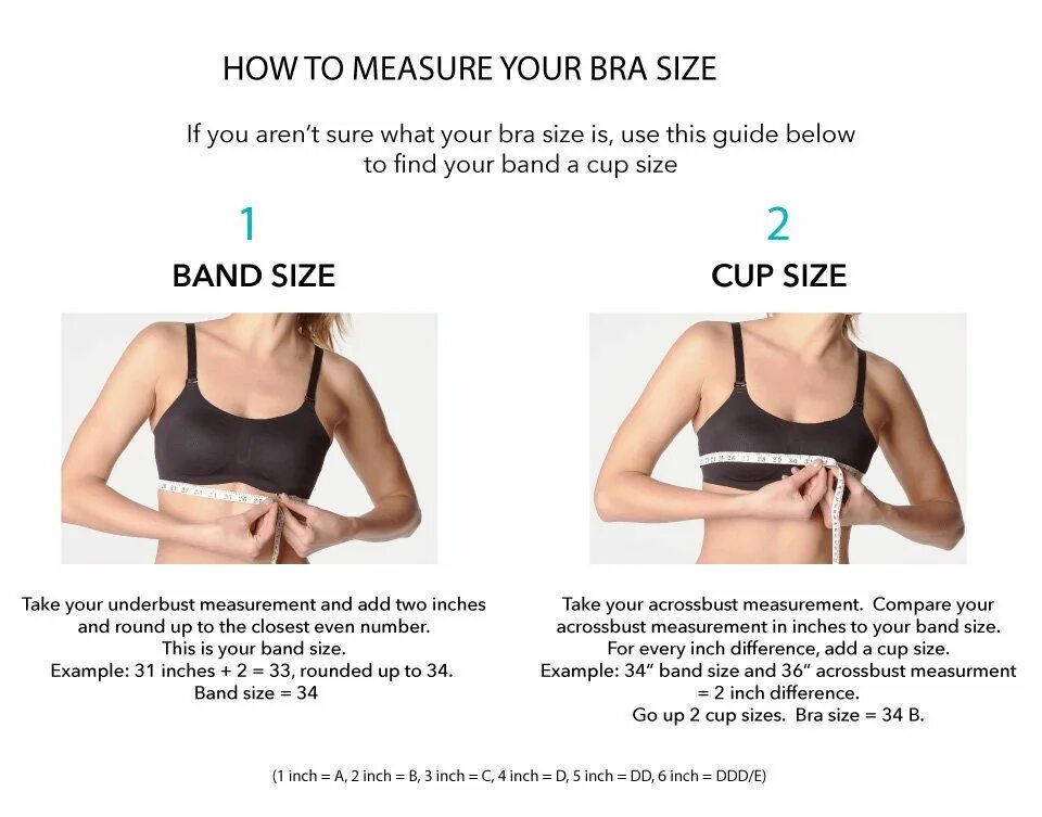 Band размер. How to measure your Bra Size. How to find Bra Size. Cup Size. Cup size текст