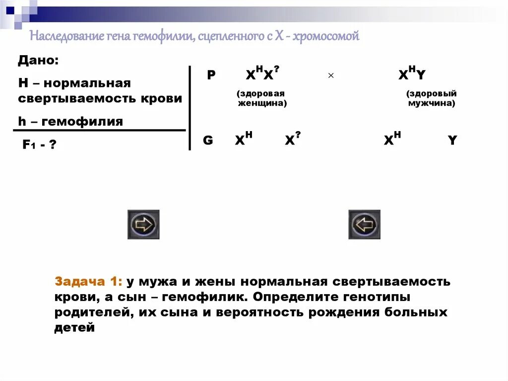 Задачи на сцепленное наследование. Наследование гемофилии. Наследование x хромосомы. Ген гемофилии рецессивный и локализован в х-хромосоме.