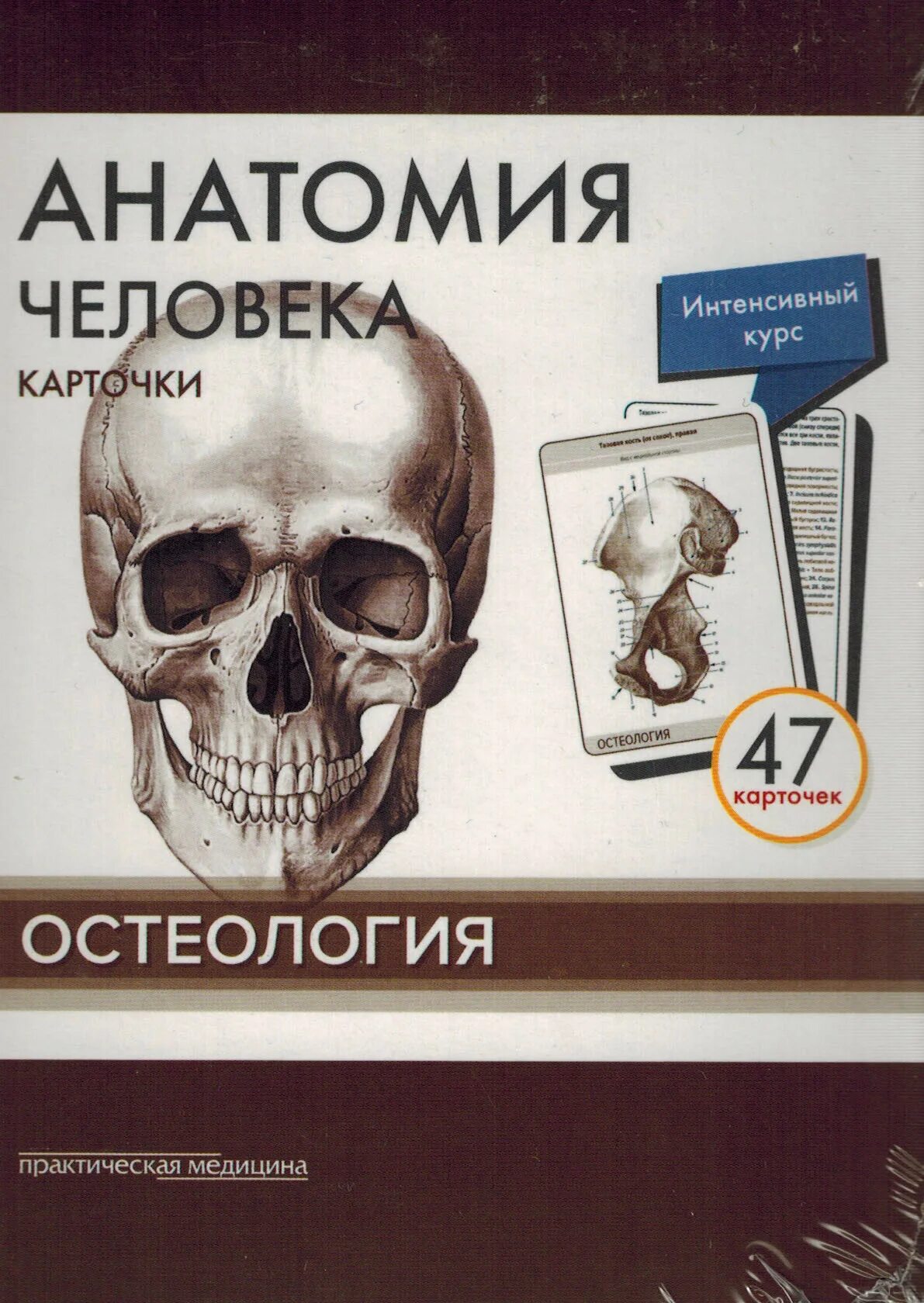 Анатомия карточки остеология. Myologia фото. Анатомия гайворонский остеология. Карточки остеология сапин. Карточки по анатомии человека.