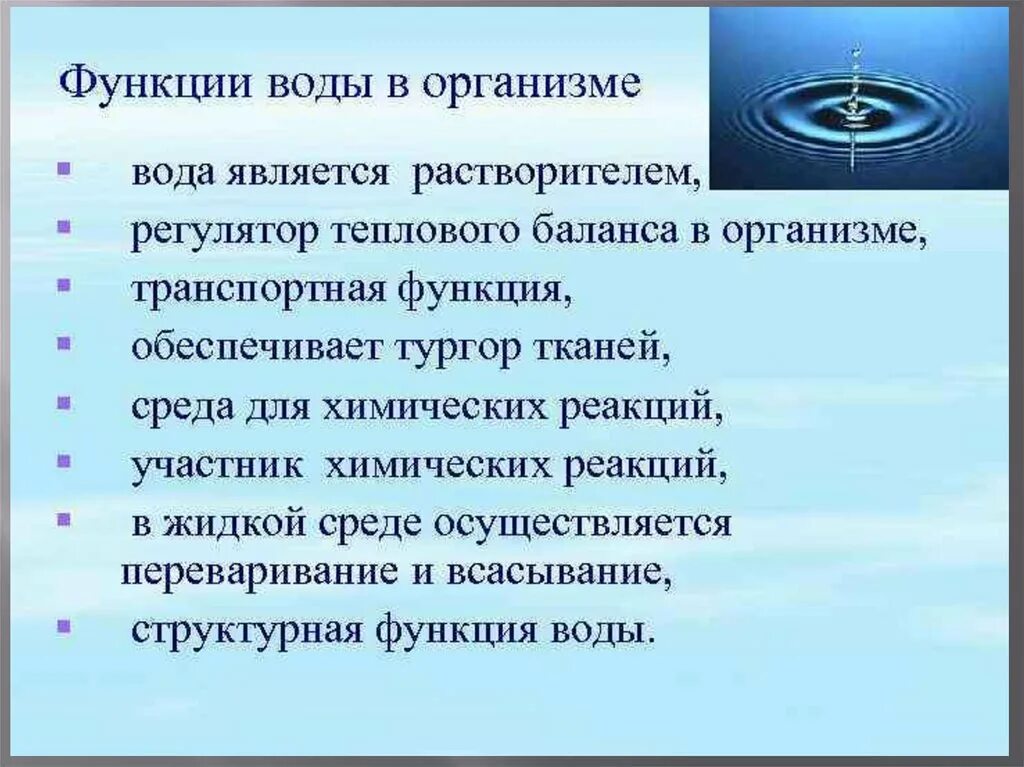 Какую функцию выполняет вода в организме