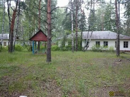 Сосновый бор лагерь сайт
