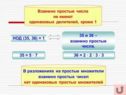 5 и 100 взаимно простые