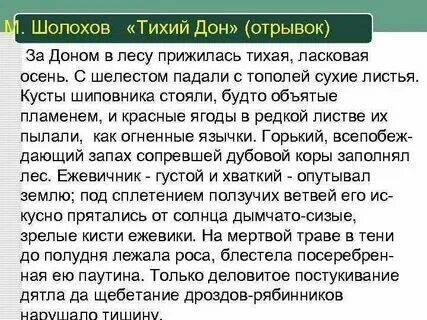 Осень шолохов. Шолохов м. Осень шолохов. Осень шолохов. Осень шолохов.
