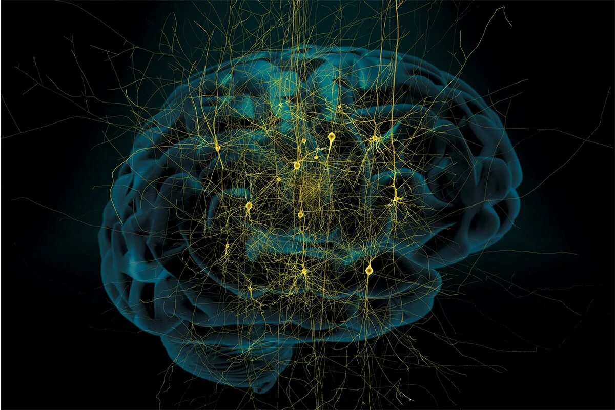 Brain start