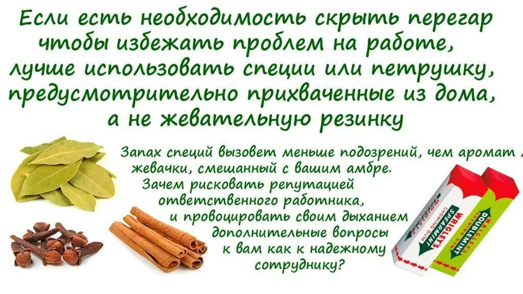 Почему пахнет перегаром