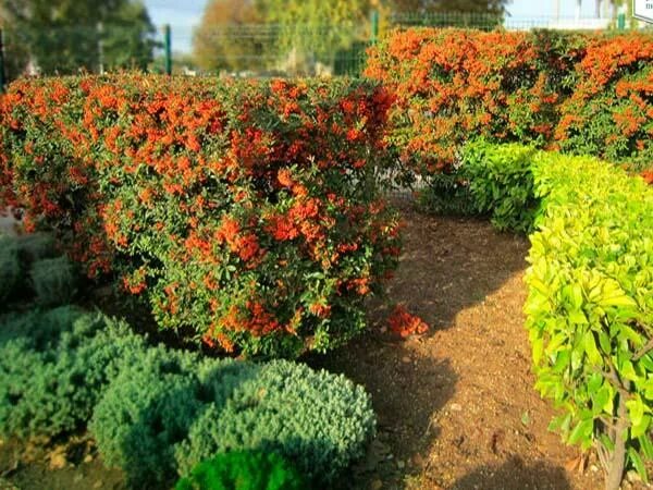 Красивые и просто интересные фото - Форум Технических Маньяков