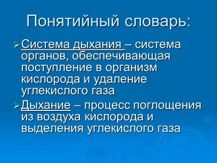Дыхательная система термины