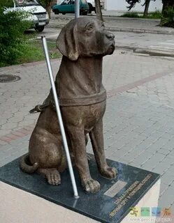 Памятник собаке