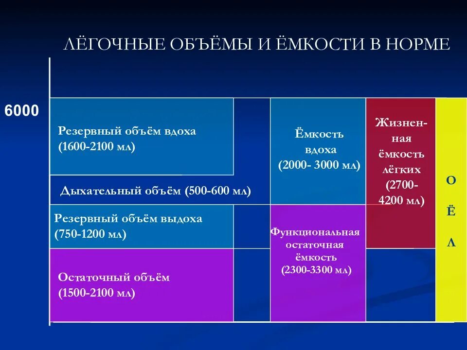 Резервный объем вдоха. Легочные объемы и емкости. Резервный объем вдоха норма. Нормы легочных объемов и емкостей. Емкость вдоха это