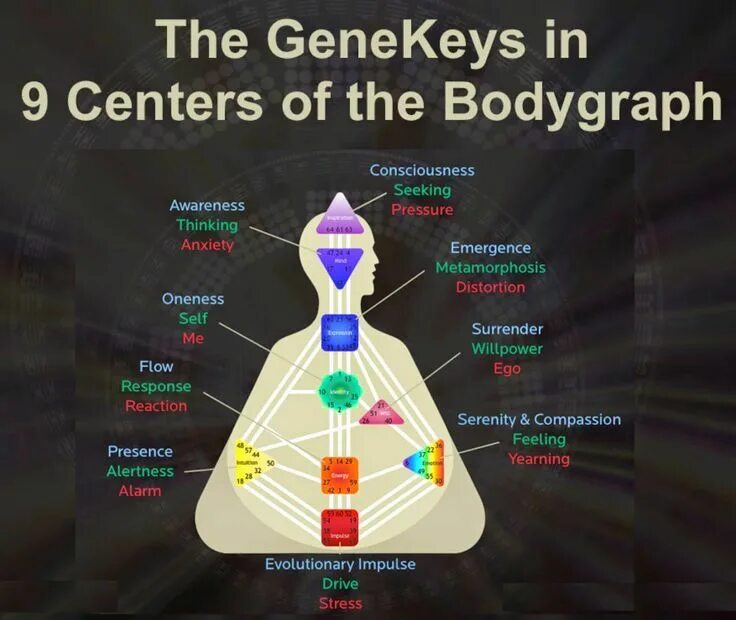 Gene keys