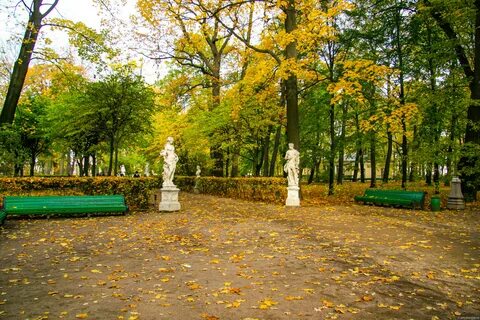 Консультация летнего сада