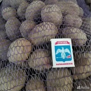Картофель опт краснодарский