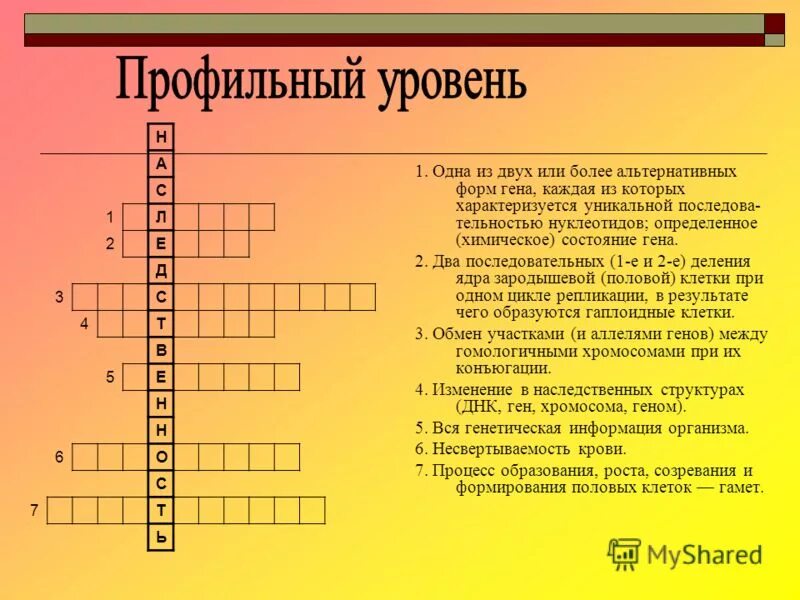 структурное состояние гена 6 букв