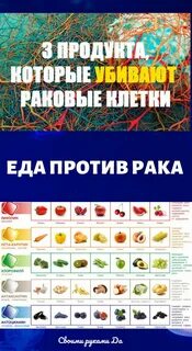 Продукты убивающие раковые
