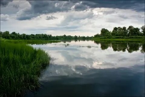 Дорохово назаровский