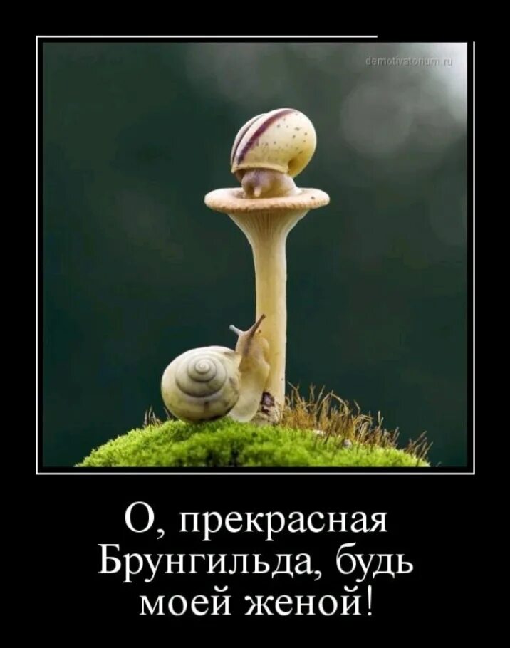 Не будь моей женой содержание