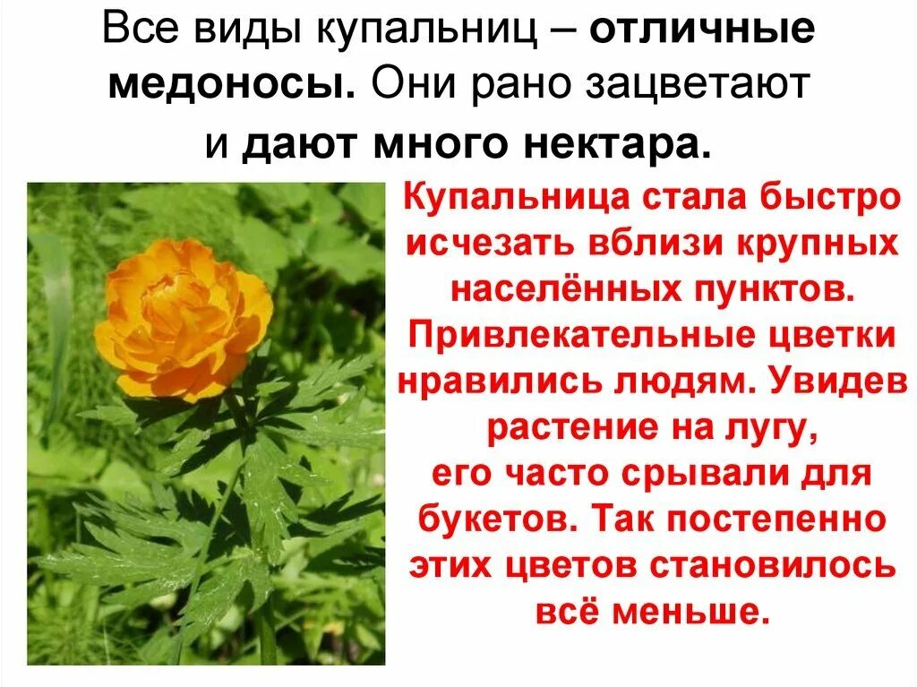 Жарко краткое содержание