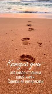 i?id=e18e6e53a633d892f897de6e04649296c2627698-5245014-images-thumbs&n=13