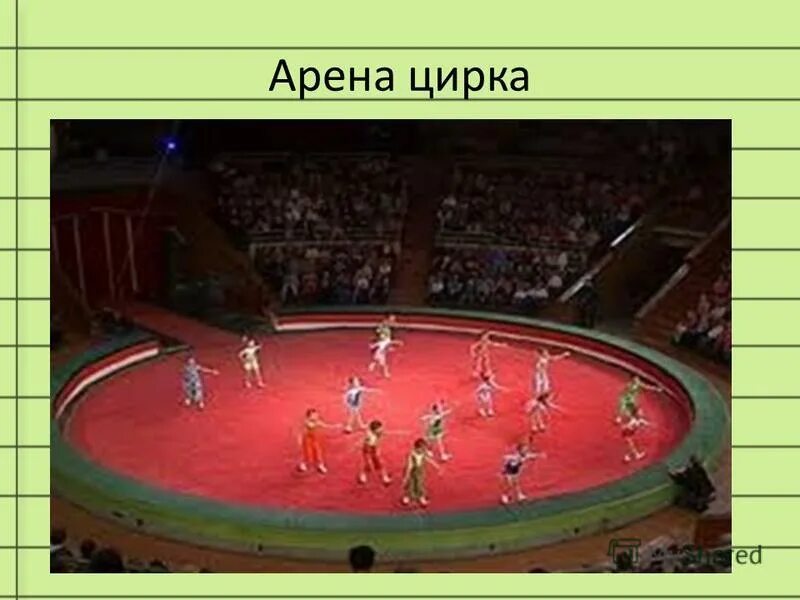 Манеж цирка. На арене цирка. Цирковая арена манеж. Площадь цирковой арены. Радиус арены цирка.