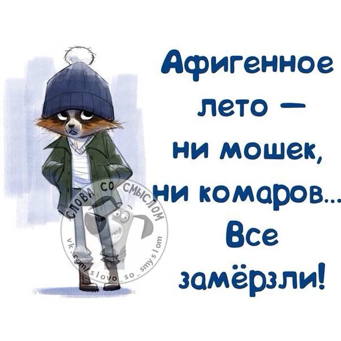 В течение лета не выберешь дня. Холодное лето. Приколы про Холодное лето. Фразы про Холодное лето. Смешные высказывания про Холодное лето.