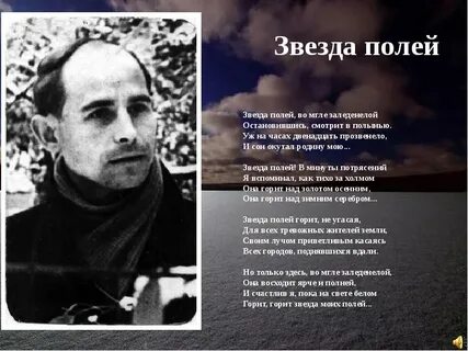Тихая звезда полей