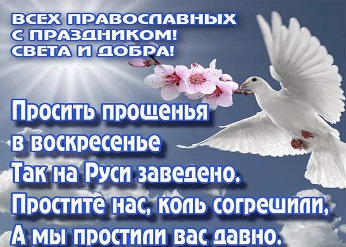 Поздравления с днём прощенного воскресенья. С прощенным воскресеньем поздравления открытки. Прошу прощения в прощенное воскресенье. Прошу у всех прощения открытки. Просить прощение у друзей в прощенное воскресенье