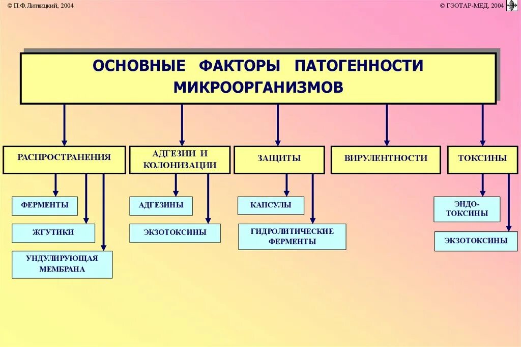 Вирус ковид группа патогенности. Схема факторы патогенности микроорганизмов. Факторы патогенности микробиология. Группы факторов патогенности микроорганизмов таблица. Факторы патогенности микроорганизмов таблица.