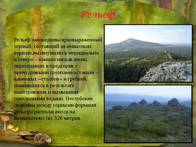 Какой рельеф в пермском крае. Рельеф перми. какой рельеф характерен для перми. какие заповедники есть в пермском крае. заповедник пермского края басеги доклад для детей.