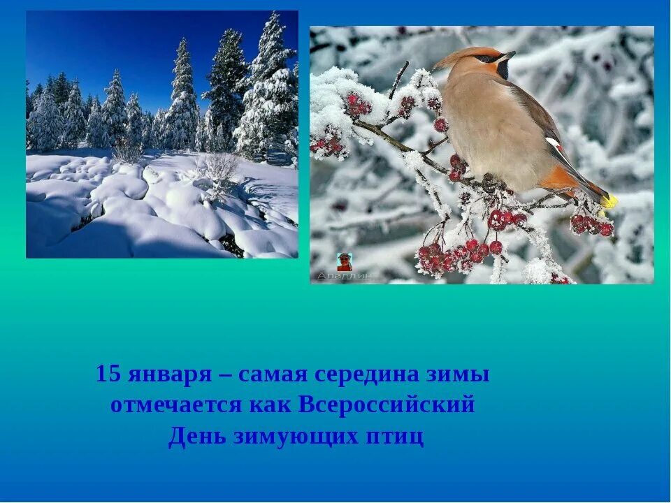 Какой пройдет январь