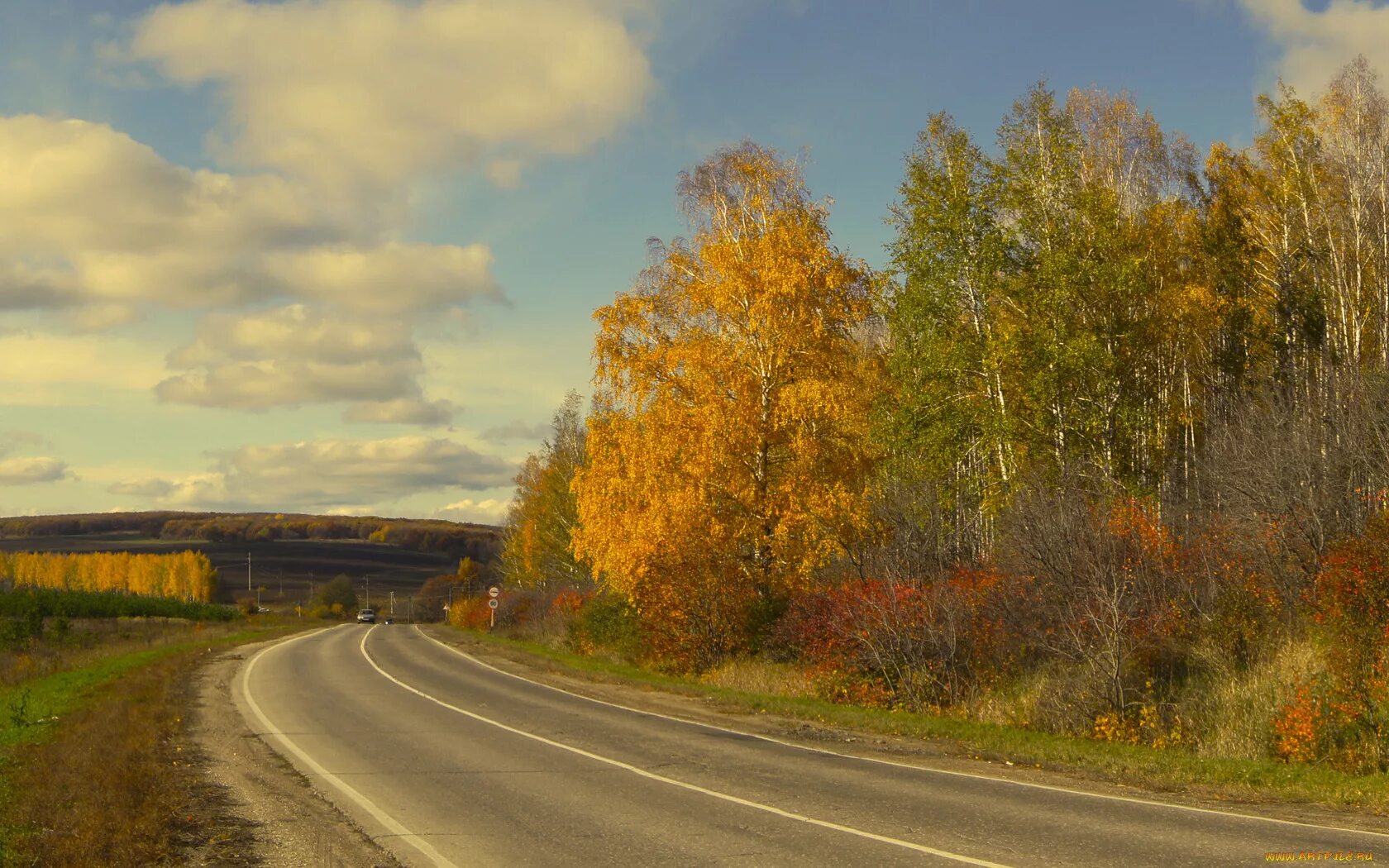 Даль какая подобрать. Осенняя дорога. Дорога в осень. Сельская осенняя дорога. Осенняя дорога уходящая в даль.