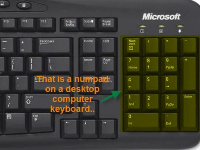 Клавиша Numpad 1. Кнопка Numpad 3. Numpad 6. Клавиша Numpad 1 на клавиатуре.