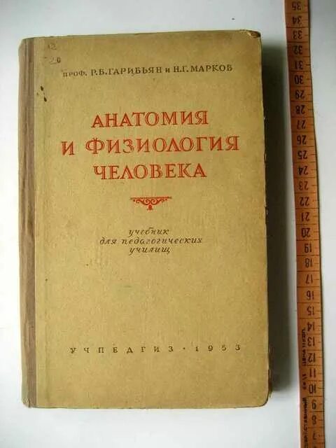 Маркова н б. Физиология человека учебник. Старые учебники по анатомии. Анатомия учебник СССР. Учебник анатомии человека Тонков.