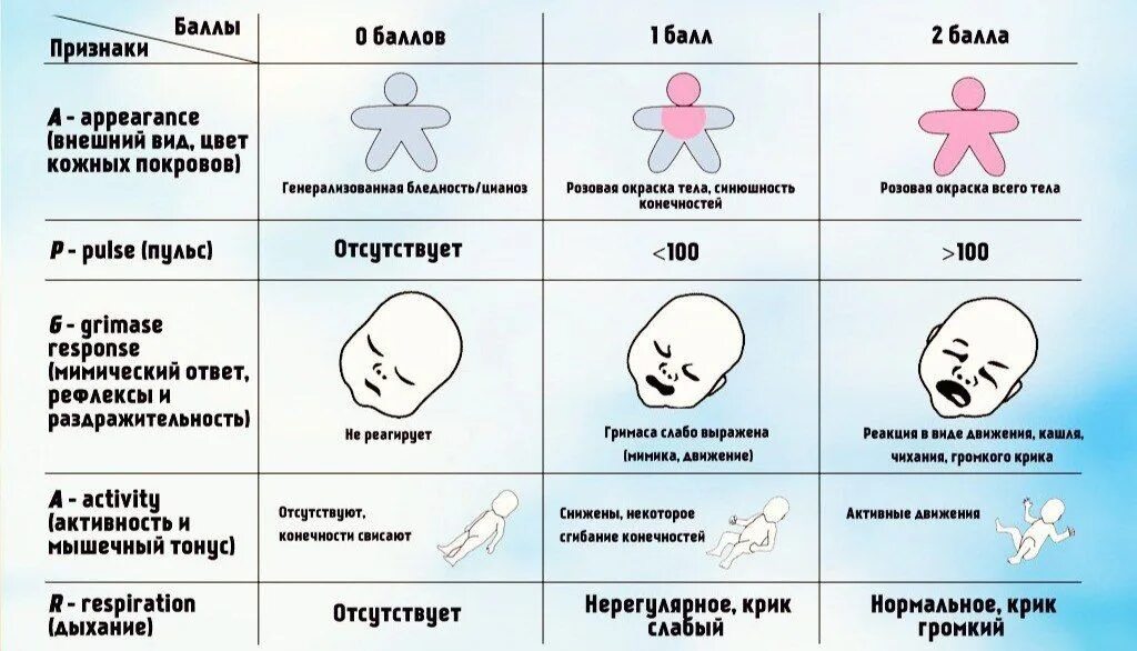 Насколько по шкале. Таблица оценки новорожденного ребенка по шкале Апгар. Шкала Апгар для новорожденных 7-8. Шкала Апгар для новорожденных 7-8 7/8 баллов расшифровка. Шкала Апгар 8/8 расшифровка для новорожденных.