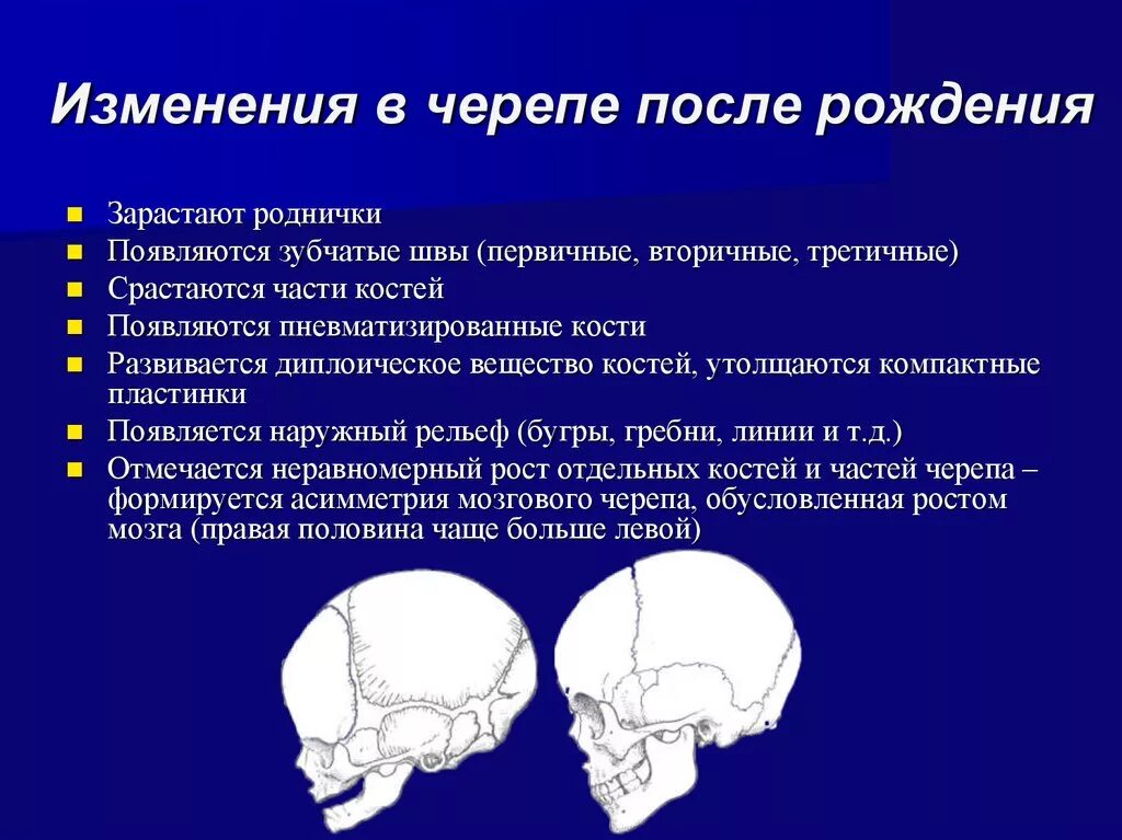 Основным признаком возрастных изменений костей. Периоды развития черепа после рождения. Изменение черепа после рождения. Изменение костей черепа. Возрастные особенности костей черепа.