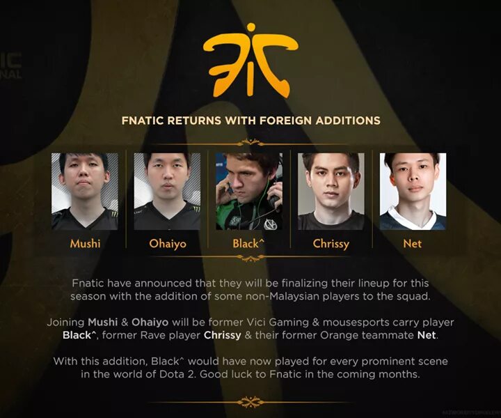 Coming this month. Fnatic Dota 2 состав. Команда фнатик дота. Фнатик дота 2 состав. Состав фнатиков дота 2.