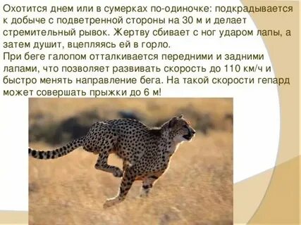 Сколько метров развивает скорость