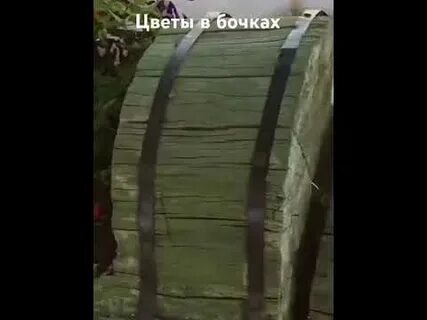В бочку посадили