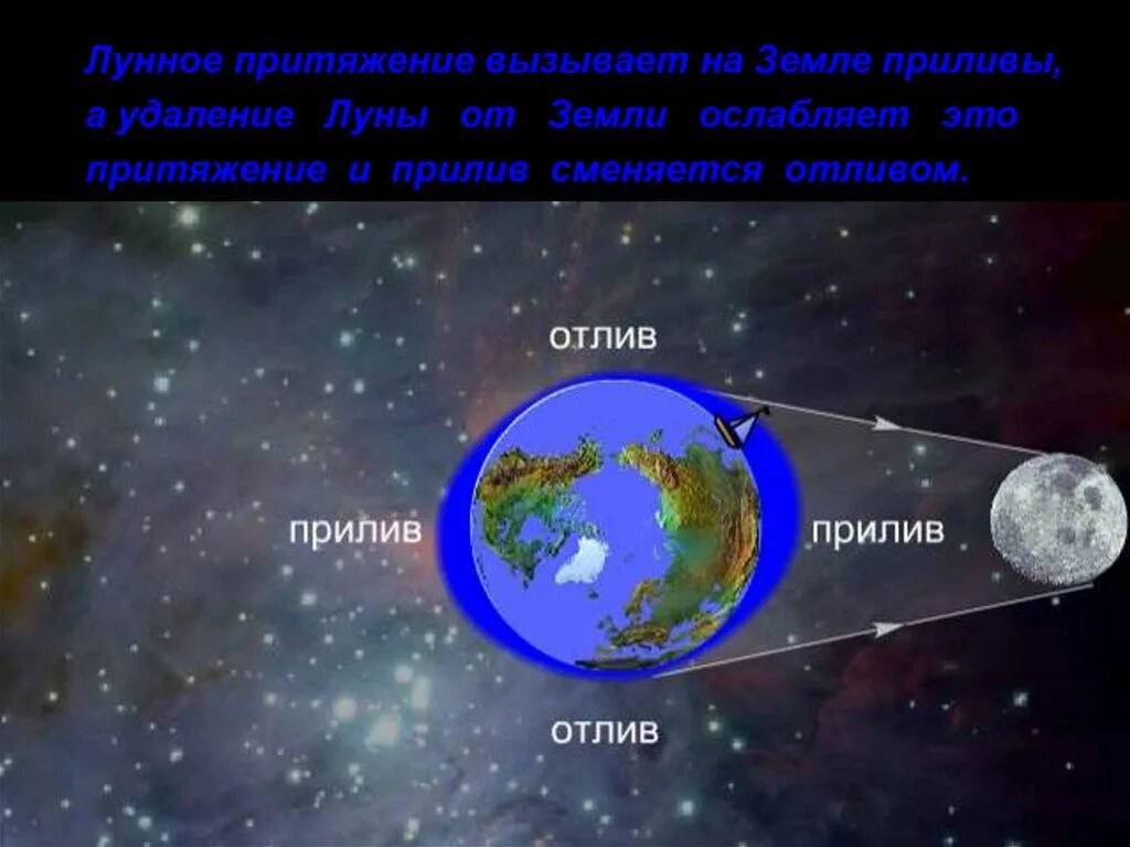 Гравитационное Притяжение Луны вызывает приливы и отливы на земле.. Приливы и отливы астрономия. Приливы и отливы презентация. Гравитационное влияние Луны на землю. Какое притяжение луны