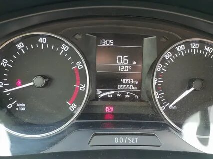 Skoda rapid сервис