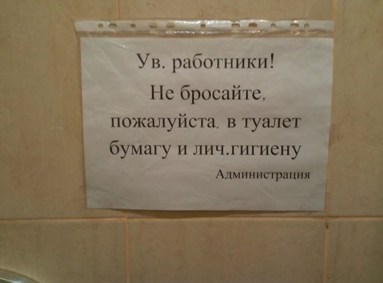 Объявление в туалет. Прикольные объявления в туалете. Не бросайте бумагу в унитаз объявление. Объявление в туалет бумагу не бросать. Не кидать в унитаз