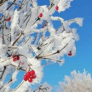 Хэерле иртэ открытки зимние