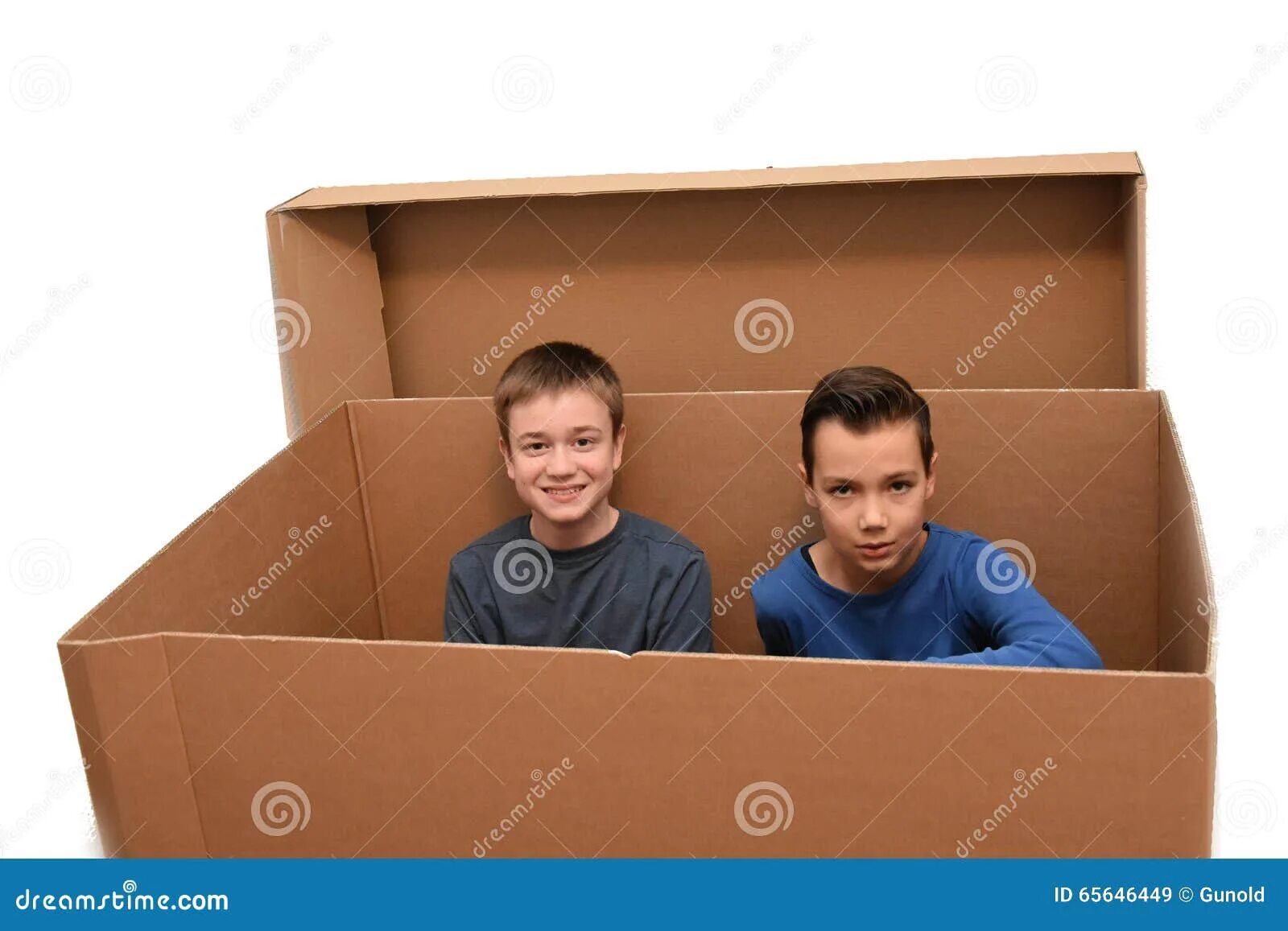 Box boys. Moving boy. Stuck in Box.