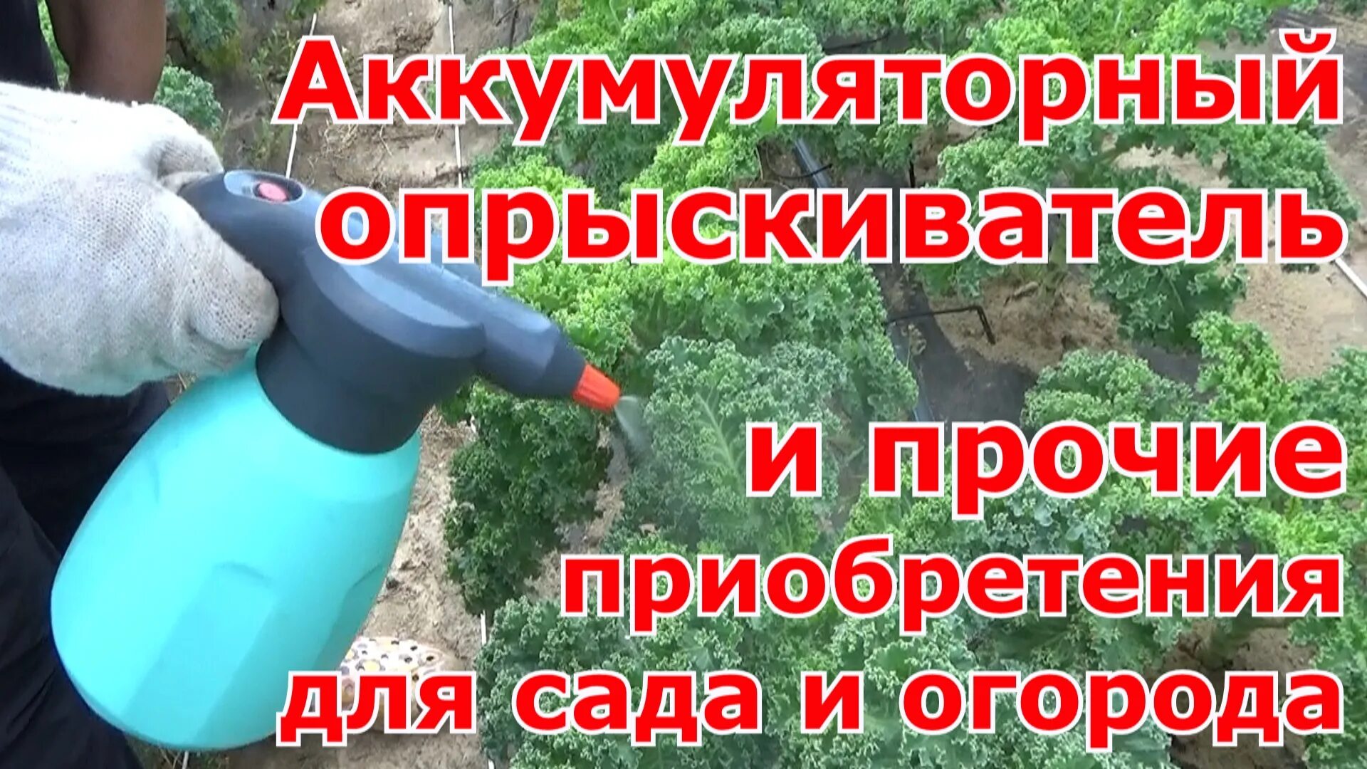Зема 2 л. Зема ручной аккумуляторный.