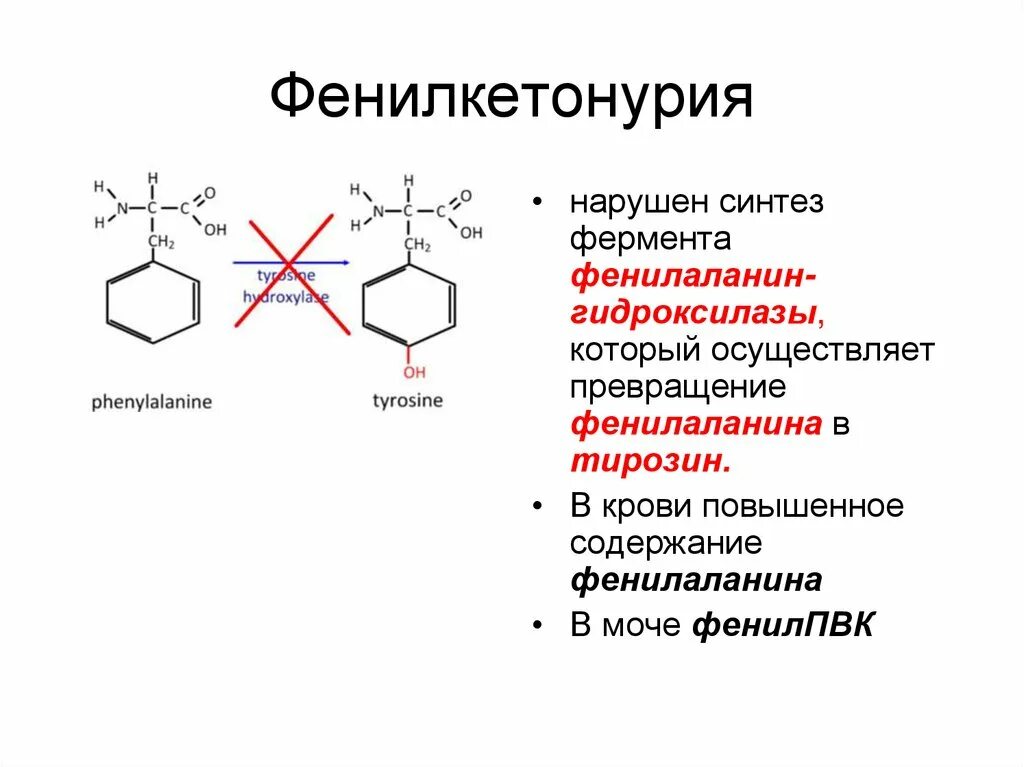 Фенилкетонурия фермент. Фенилкетонурия схема биохимия. Фенилкетонурия 1 типа биохимия. Фенилкетонурия патогенез схема. Фенилкетонурия повышение фенилпирувата.