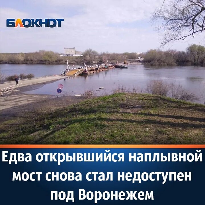 Мост в шилово воронеж сегодня. Воронеж Шилово.мост через Дон. Уровень воды в Дону. Новоживотинное Воронеж река Дон. Понтон Шилово Воронеж.