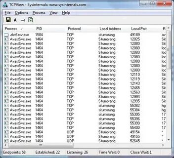 Tcpview