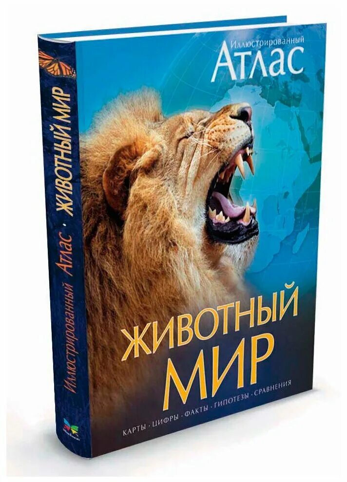 иллюстрированный атлас для детей. иллюстрированный атлас. книга океан. океаны. атлас.