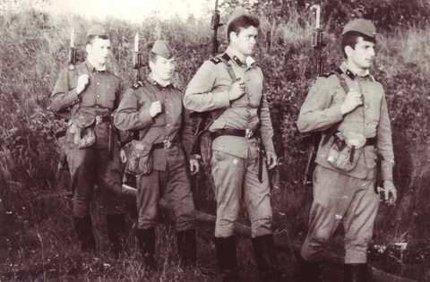 1982 1984 год