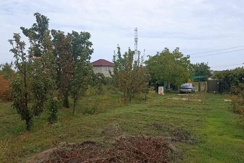 Снт русь волгоградская область