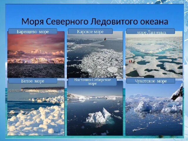 Моря Северного Ледовитого океана. Моря Северного дедов того океана. Моря Северо лядовитого океана. Моря Северного Ледовитого океана список. Моря северного ледовитого океана находятся на